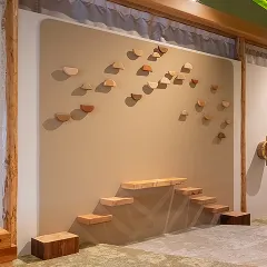 ウォールステップ